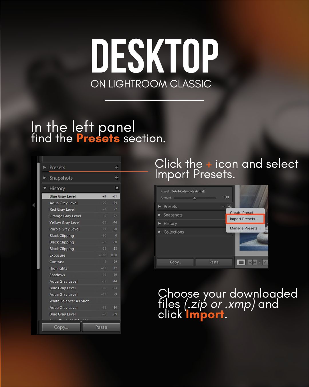 Find Presets section and import your .zip or .xmp files